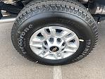 2025 Chevrolet Silverado 2500 Double Cab SRW 4x2 Cab Chassis for sale #P256394 - photo 12