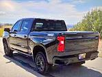 2024 Chevrolet Silverado 1500 Crew Cab 4x4 Pickup for sale #P257477A - photo 4