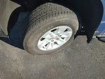 2024 Chevrolet Silverado 1500 Regular Cab RWD Pickup for sale #P260628A - photo 14