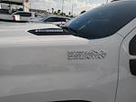 2024 Chevrolet Silverado 3500 Crew Cab 4WD Pickup for sale #P261316A - photo 13