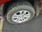2023 Chevrolet Silverado 1500 Crew Cab 4WD Pickup for sale #P261695A - photo 14