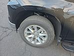 2025 Chevrolet Silverado 1500 Crew Cab 4WD Pickup for sale #P262247A - photo 13
