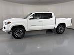 2023 Toyota Tacoma Double Cab RWD Pickup for sale #P262890A - photo 6