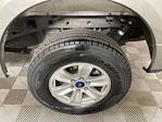 2020 Ford F-150 SuperCrew Cab 4x4 Pickup for sale #PAP09802 - photo 14