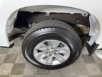 2024 Chevrolet Silverado 1500 Regular Cab 4x2 Pickup for sale #PAP10083 - photo 14