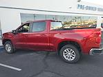 2023 Chevrolet Silverado 1500 Crew Cab 4WD Pickup for sale #PAP11562 - photo 12