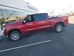 2023 Chevrolet Silverado 1500 Crew Cab 4WD Pickup for sale #PAP11562 - photo 14