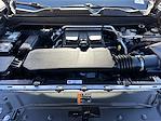 2023 Chevrolet Colorado Crew Cab 4WD Pickup for sale #TDD11471 - photo 12