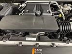 2023 Chevrolet Colorado Crew Cab 4WD Pickup for sale #TDD11471 - photo 41