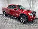 2014 Ford F-150 SuperCrew Cab 4WD Pickup for sale #540642 - photo 1