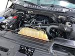 2017 Ford F-150 SuperCrew Cab 4WD Pickup for sale #570231 - photo 27