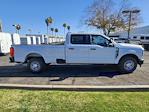 2024 Ford F-250 Crew Cab RWD, Pickup for sale #MFD242436 - photo 4