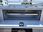 2024 Ford F-350 Regular Cab DRW RWD Cab Chassis for sale #MFDB242732 - photo 16