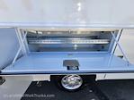 2025 Ford E-350 RWD Reading Service Utility Van for sale #MFDB251280 - photo 23