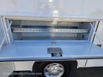 2025 Ford E-350 RWD Reading Service Utility Van for sale #MFDB251413 - photo 24