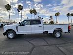 2024 Ford F-250 Crew Cab RWD, Pickup for sale #MFDF242484 - photo 3