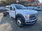 2024 Ford F-550 Regular Cab DRW 4WD, Cab Chassis for sale #241290 - photo 4