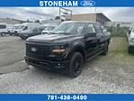 2025 Ford F-150 SuperCrew Cab 4WD Pickup for sale #251350 - photo 1
