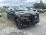 2025 Ford F-150 SuperCrew Cab 4WD Pickup for sale #251350 - photo 3