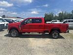 New 2025 Ford F-350 XLT Crew Cab 4WD SRW Pickup for sale #251646 - photo 8
