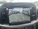 New 2025 Ford F-150 XL Regular Cab 4WD Pickup for sale #251672 - photo 38