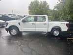 New 2025 Ford F-150 XL SuperCrew Cab 4WD Pickup for sale #252322 - photo 6