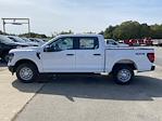 New 2025 Ford F-150 XL SuperCrew Cab 4WD Pickup for sale #252340 - photo 4