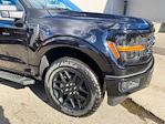 New 2025 Ford F-150 STX SuperCrew Cab 4WD Pickup for sale #252451 - photo 4