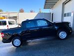 New 2025 Ford Maverick XL SuperCrew Cab AWD Pickup for sale #252478 - photo 18