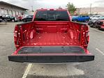 2025 Ford F-150 SuperCrew Cab 4WD Pickup for sale #252536 - photo 16