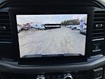 New 2025 Ford F-150 XLT SuperCrew Cab 4WD Pickup for sale #252547 - photo 13