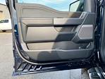 2025 Ford F-150 SuperCrew Cab 4WD Pickup for sale #252688 - photo 11