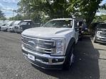 2025 Ford F-450 Regular Cab DRW 4WD Cab Chassis for sale #25585 - photo 4