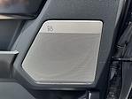 2024 Ford F-150 SuperCrew Cab 4x4 Pickup for sale #X4DE18132A - photo 8