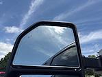 2024 Ford F-150 SuperCrew Cab 4x4 Pickup for sale #X4DE18132A - photo 5