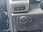 2020 Ford F-250 Crew Cab 4x4 Pickup for sale #X5BA53706A - photo 10