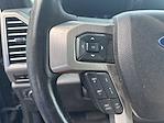 2020 Ford F-250 Crew Cab 4x4 Pickup for sale #X5BA53706A - photo 12