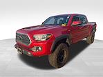 2019 Toyota Tacoma Double Cab 4x4 Pickup for sale #X5FE42036A - photo 3