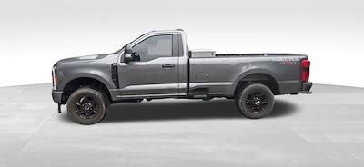 2023 Ford F-250 Regular Cab 4x4 Pickup for sale #X5DD38656A - photo 2