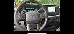 2023 Ford F-250 Regular Cab 4x4 Pickup for sale #X5DD38656A - photo 10