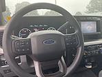 2023 Ford F-250 Crew Cab 4WD Pickup for sale #X5DD38656B - photo 12