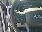 2023 Ford F-350 Crew Cab DRW 4x4 Pickup for sale #X5KB17660A - photo 22