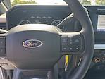 2023 Ford F-350 Crew Cab DRW 4x4 Pickup for sale #X5KB17660A - photo 23