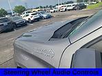 2022 Chevrolet Silverado 1500 Crew Cab 4x4 Pickup for sale #J5S291755A - photo 22