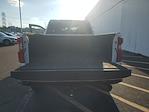 2023 Chevrolet Silverado 2500 Crew Cab 4x4 Pickup for sale #J5S370667A - photo 16