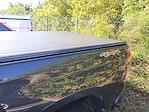 2020 Chevrolet Silverado 1500 Double Cab 4WD Pickup for sale #J6S178453A - photo 15