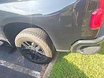 2023 Chevrolet Silverado 1500 Crew Cab 4WD Pickup for sale #JX10637A - photo 14
