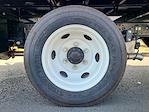 2024 Chevrolet LCF 4500HG Regular Cab 4x2 Landscape Dump for sale #GDT24066 - photo 16