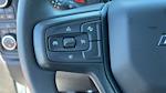 2025 Chevrolet Silverado 1500 Regular Cab 4WD Pickup for sale #25-1124 - photo 19