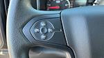 2025 Chevrolet Silverado 5500 Regular Cab DRW RWD Cab Chassis for sale #25-1354 - photo 19